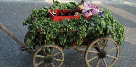 18.05.2023 – Männertagsparty