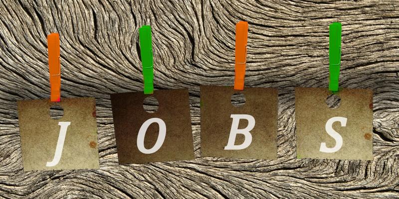 Summer 2024 – Why don't you work with us?